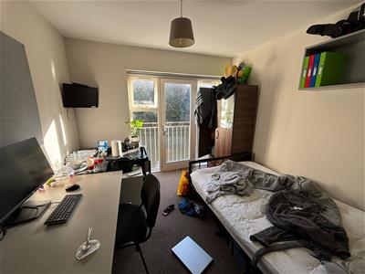Picture 12
